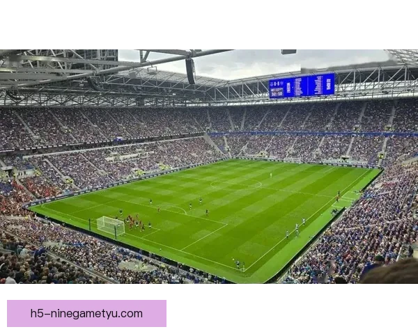 埃弗顿马赛里昂追博埃无意转会